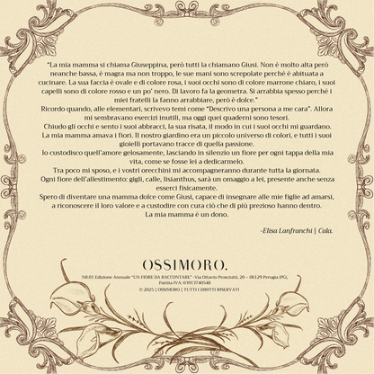 Orecchini CALLA | le PETIT. | Bianco (Seconda variante)