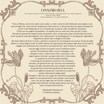 Orecchini CICLAMINO | le MINI. | Degradè Rosa (Seconda variante)