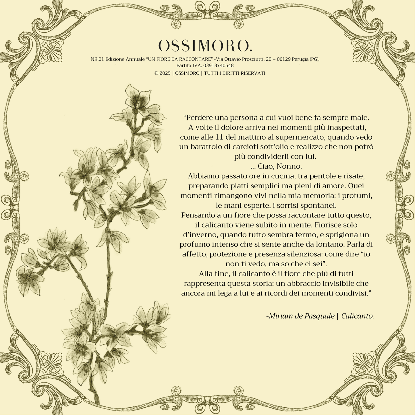 Orecchini CALICANTO - le MIDI. | Screziato (Seconda variante)