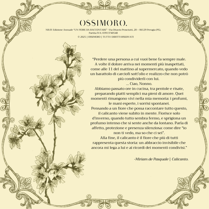 Orecchini CALICANTO - le MIDI. | Screziato (Seconda variante)