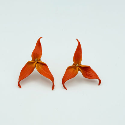 Orecchini MASDEVALLIA. | le MIDI | Arancio