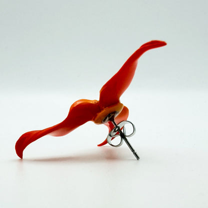 Orecchini MASDEVALLIA. | le MIDI | Arancio