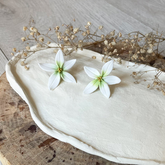 Orecchini FIORE D'ARANCIO. | Degradè Verde Pastello