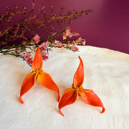 Orecchini MASDEVALLIA. | le MIDI | Arancio